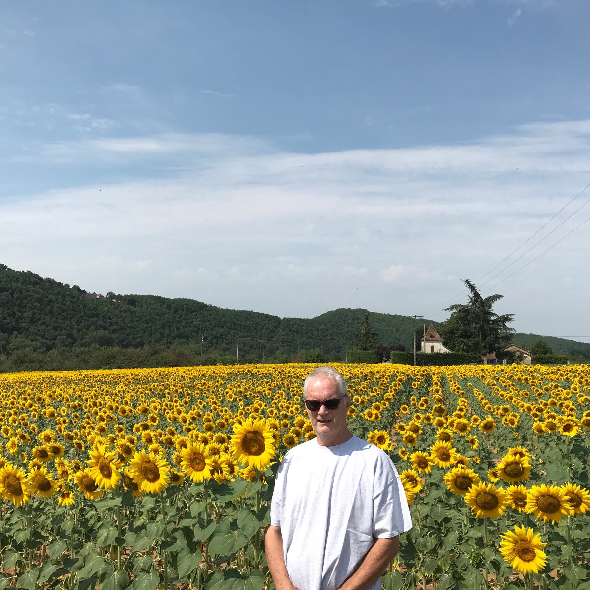 Profile photo of Bangkok 8 author surrounded by sunflowers in rural France.
