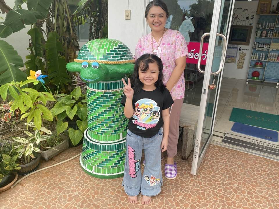 Turtle designed by Thailand expat author